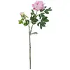 Europalms Bouquet de Pivoine, Rose, 100 cm, Multicolore, Taille Unique