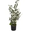 Europalms, Plantes artificielles, Petit olivier (68 cm)