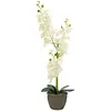 Europalms, Plantes artificielles, Orchidée (80 cm)