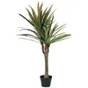 EUROPALMS Dracena artificiel 120 cm | Dragon Tree