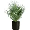 EUROPALMS Palmier éventail, plante artificielle, 55 cm, jeune palmier ...