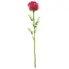 Europalms 82600209 Crystal Rose Bordeaux 81 cm