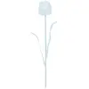 Europalms Cuff Cristal Transparent 61 cm 12 x