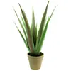 Europalms 61454 Plante de Décoration Aloès Ferox Brousse Vert 60 cm