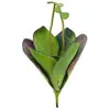 Europalms, Plantes artificielles, Nénuphar (45 cm)