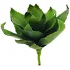 Europalms 45 cm, Agave EVA Vert
