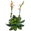 Europalms, Plantes artificielles, Rose de pierre (32 cm)