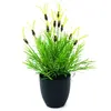 Europalms 61248 Featherlettuce, 40cm, Vert