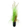 Europalms, Plantes artificielles, Herbe à lampions, artificielle, 120c...