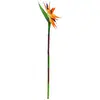 EUROPALMS Fleur d'oiseau de paradis, plante artificielle, orange, 95 c...