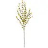 EUROPALMS Branche d'eucalyptus, jaune/vert, 110 cm | Branche réaliste ...