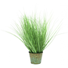 Europalms 82600145 Ornamental Grass, 65 cm