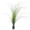 EUROPALMS Herbe de roseau artificiel 145 cm