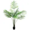 EUROPALMS Areca Grande Feuilles Artificielle, 185 cm | Palmier bétel