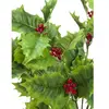 Europalms Holy Bush, 43 cm, multicolore Taille unique