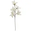 Europalms plante artificielle Branche de CLEMATIDE Eva, Blanc, Standar...