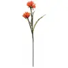 Europalms 82532006 Dahlie (Eva), Orange, 100 cm, Orange, Taille Unique