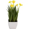 EUROPALMS Narcisse, plante artificielle, 23 cm, jolie fleur printanièr...
