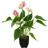 EUROPALMS Anthurie, plante artificielle, blanc rose | Plante d'intérie...