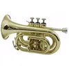 Dimavery Tp-300 Bb Pocket Trumpet, Gold