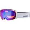 Alpina Snow Masque De Ski Granby Hm