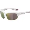 Alpina Lunettes De Soleil Polarisées à Miroir Flexxy Hr