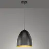 Fischer & Honsel Suspension Mylon, 1 ampoule, 1 ampoule E27, noir et d...