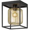 Fischer & Honsel - Plafondlamp Caydo