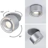 Paulmann, Applique + plafonnier, EBL Spircle (550 lm)