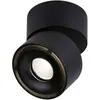 Paulmann, Applique + plafonnier, Set de Spircle (530 lm)