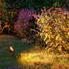 Paulmann 94728 luminaire d'extérieur LED Plug & Shine Proj. jardin Sti...