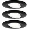 Paulmann Calla - Inbouwspot - IP65 - Set van 3 - Zwart mat - rond - 4.000K - 3x6W - zwenkbaar