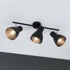Paulmann 66761 Davy Plafonnier 3 spots en métal E27 max. 3 x 20 W Noir