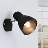 Paulmann 66759 Plafonnier Davy 1 ampoule max. 20 W en métal E27 sans ampoule Noir