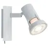 Paulmann Projecteurs Teja, une lumière blanche sans ampoule, max. 10W GU10 667,02