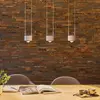 Suspension PAULMANN Aldan gradable LED 3x9W Noir