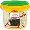3800ml Sera Koi Color Nature medium nourriture pour poissons