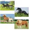 Puzzle Schmidt - Chevaux, 2x26 + 2x48 pièces, boîte en métal