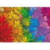 Schmidt Spiele Bunter Blätterwald (Puzzle): Erwachsenenpuzzle 1.500 Teile