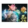 Schmidt puzzel Planet Earth 2020 - 1000 stukjes.