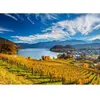 Schmidt Spiele Vineyards Spiele-58953
