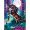 Schmidt Spiele SSP Einhorn bei Vollmond (1000 pièces)