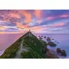 Puzzle Nugget Point Lighthouse, The Catlins, South Island - New Zealan...