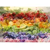 Schmidt Spiele 59770 Puzzle de cocktail de fruits 1000 pièces Multicolore