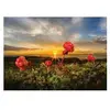 Heye Puzzle Puzzel Cloudberries 1000 Heye 30016.