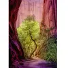 Puzzle 1000 pièces - HEYE - Canyon chantant - Abstrait - Adulte - Mixte