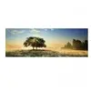 Heye Play of Light 29901