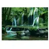 Heye Rafael Rojas : Cascades 29602