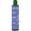 Weleda HydraShine Shampooing Hydratation 250ml
