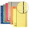 Elba intercalaires avec perforation, format a4 extra large, 400004669